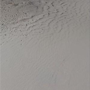 5a6613ee05f3e70da0f33ed9f35ddfb4_33661c3c-f053-4780-96c8-abec076ee3d0.jpg 5a6613ee05f3e70da0f33ed9f35ddfb4_33661c3c-f053-4780-96c8-abec076ee3d0.jpg